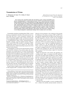 Transmission of Prions