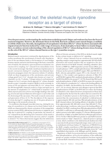 Stressed out: the skeletal muscle ryanodine receptor as a target of