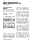 Role of the ubiquitinselective CDC48UFD1/NPL4 chaperone