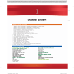 Skeletal System