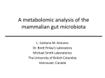 A metabolomic analysis of the mammalian gut microbiota