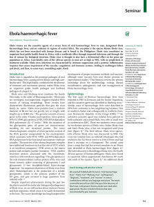 Ebola haemorrhagic fever