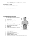 Chapter 20 The Digestive System and Exercise in class