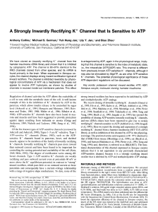 A Strongly Inwardly Rectifying K+ Channel that Is Sensitive to ATP