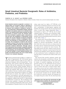 Small Intestinal Bacterial Overgrowth: Roles of Antibiotics, Prebiotics