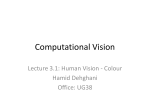 Lecture 3.1: Human Vision: Colour.