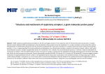 Structure and mechanism of respiratory complex I, a giant