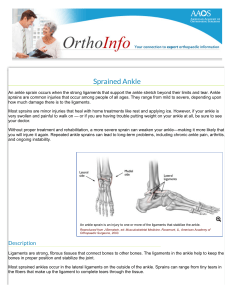 Sprained Ankle-OrthoInfo - AAOS