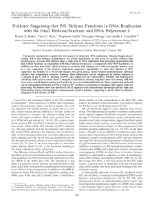 Evidence Suggesting that Pif1 Helicase Functions in DNA