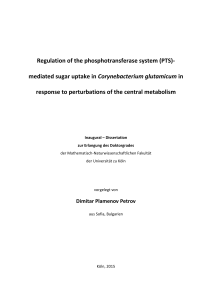 Regulation of the phosphotransferase system (PTS)