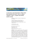 Cytotoxicity and mutagenicity of fluoxetine hydrochloride (Prozac