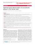 Elasticity-based determination of isovolumetric phases in the human