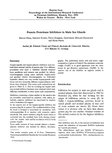 Protein Proteinase Inhibitors in Male Sex Glands