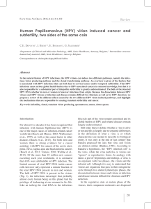 Human Papillomavirus (HPV) virion induced cancer and subfertility