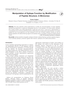 Manipulation of Epitope Function by Modification of Peptide