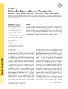 Mitochondrial diseases and the role of the yeast models