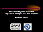 Trichloroethylene-mediated epigenetic changes in T cell function