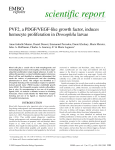 PVF2, a PDGF/VEGFlike growth factor, induces