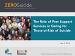 The Role of Peer Support Services slides 6-2-15