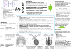 Science Year 8 Learn Sheet DC4 – Respiration