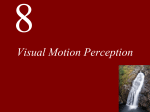 Lecture 8 Motion Perception