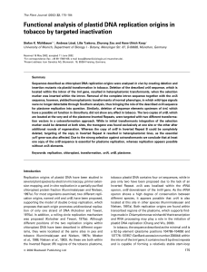 Functional analysis of plastid DNA replication origins in tobacco by