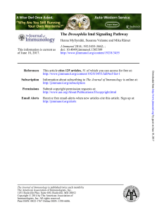 Imd Signaling Pathway Drosophila The