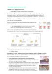 THE ORIGIN AND EVOLUTION OF LIFE THEORIES OF