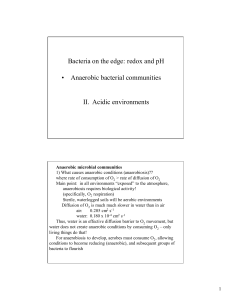 Bacteria on the edge: redox and pH • Anaerobic bacterial