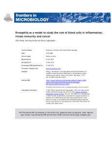 Drosophila as a model to study the role of blood cells in