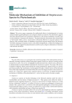 Molecular Mechanisms of Inhibition of Streptococcus Species by