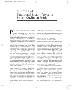 Nutritional Factors Affecting Semen Quality in Felids