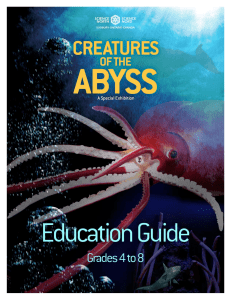 the Education Guide