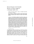 Electrical Properties of the Pacemaker Neurons in the Heart