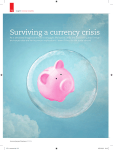 Surviving a currency crisis