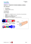 SESSION 10: TRANSPORT SYSTEMS IN MAMMALS (HUMAN) 2