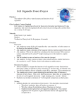 Cell Organelle Poster Project