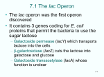 7.1 The lac Operon