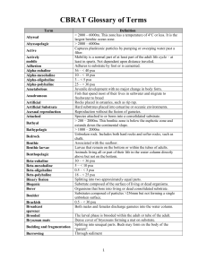 CBRAT Glossary of Terms