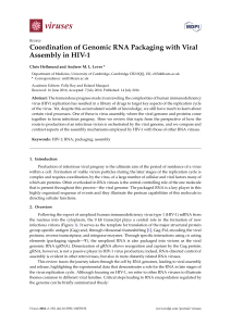 Coordination of Genomic RNA Packaging with Viral Assembly in HIV-1