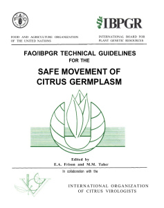 Safe Movement of Citrus Germplasm