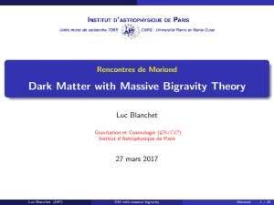Dark Matter with Massive Bigravity Theory