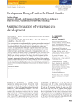 Genetic regulation of vertebrate eye development