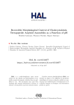 Reversible Morphological Control of Cholecystokinin Tetrapeptide