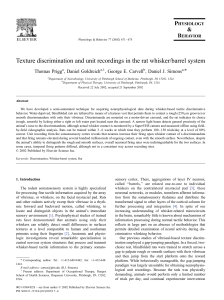 Texture discrimination and unit recordings in the rat