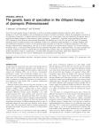 The genetic basis of speciation in the Giliopsis lineage of