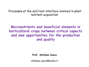 Micronutrients and beneficial elements in horticultural crops