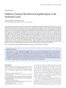 Inhibitory Gating of Basolateral Amygdala Inputs to the Prefrontal