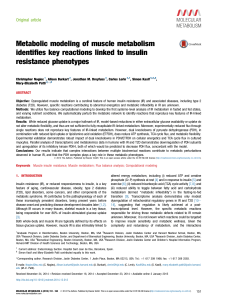 Metabolic modeling of muscle metabolism identifies key reactions