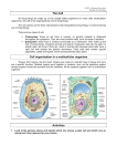 The Cell Cell organisation in a multicellular organism